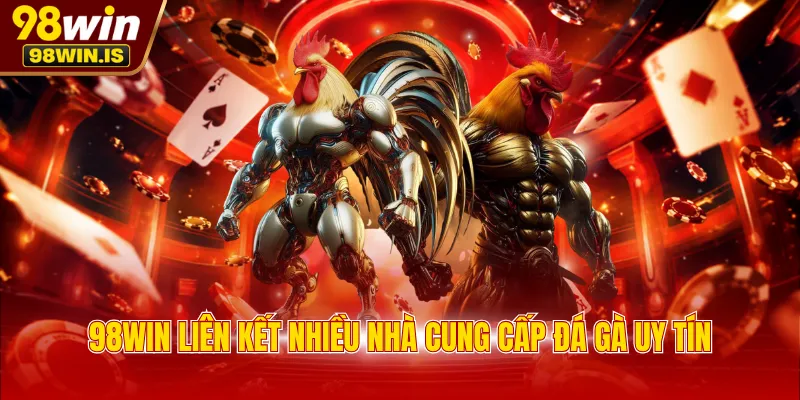 98WIN liên kết nhiều nhà cung cấp đá gà uy tín